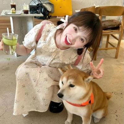 直言真相第一季